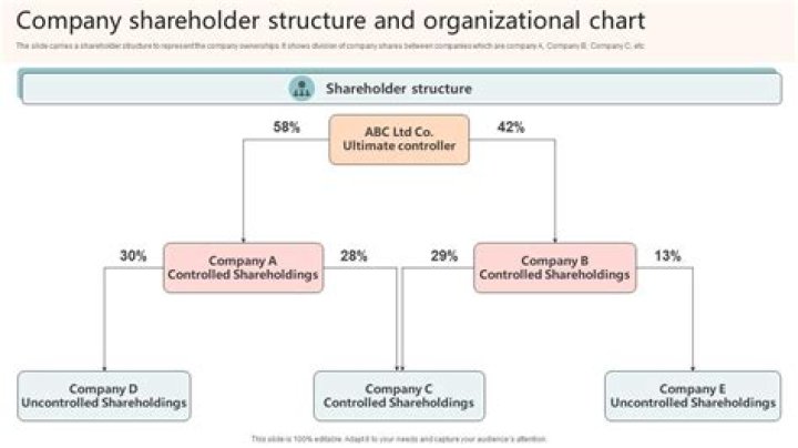 Can a corporation be as Corp shareholder?