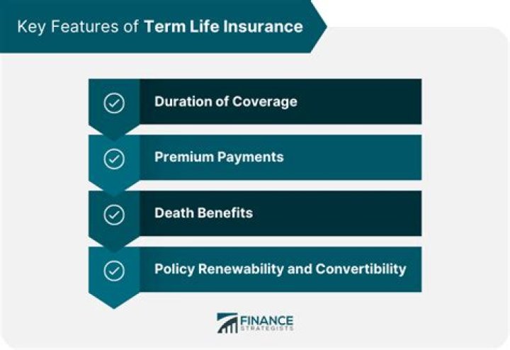 Can a term life insurance policy be surrendered?