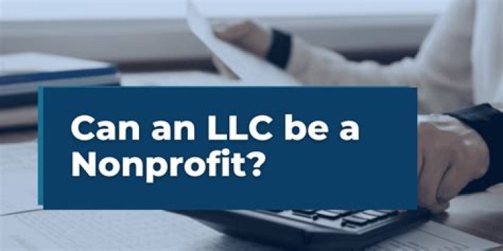 Can an LLC hold a nonprofit?
