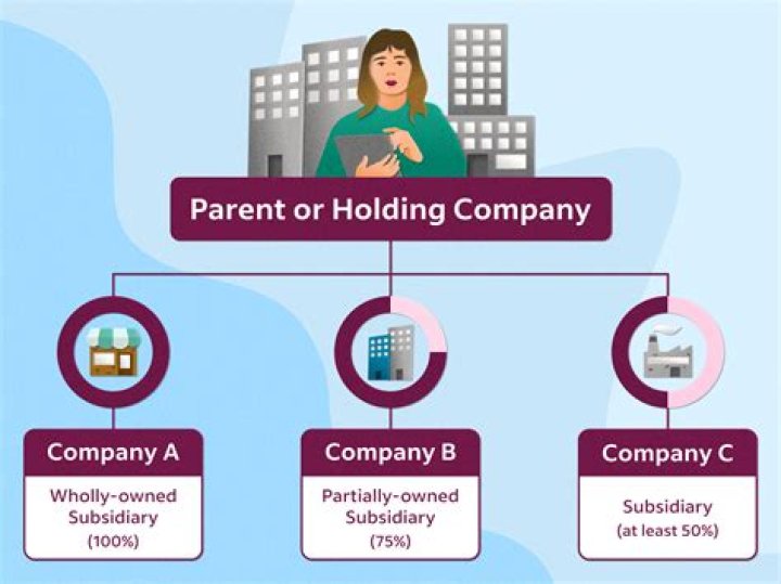 Can an LLC own a holding company?
