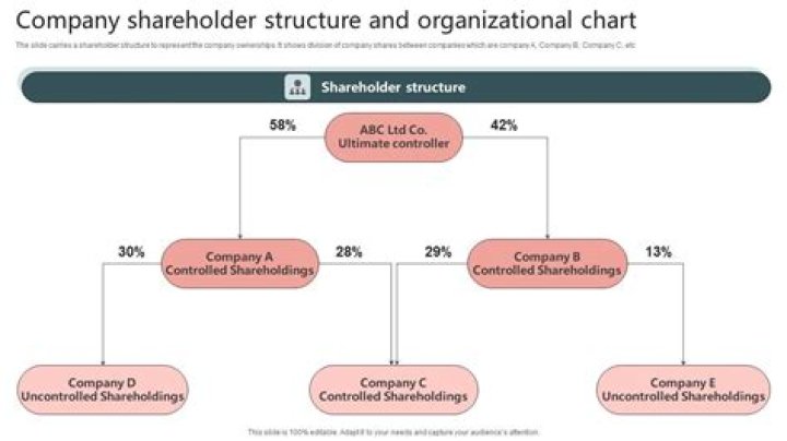 Can you be a shareholder in two companies?