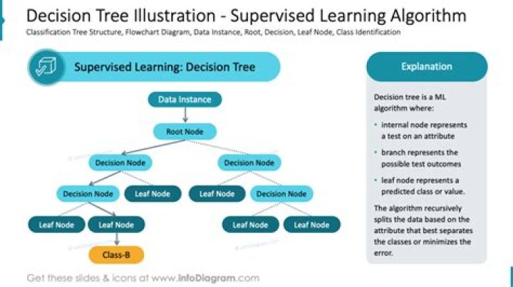 Do companies use decision trees?