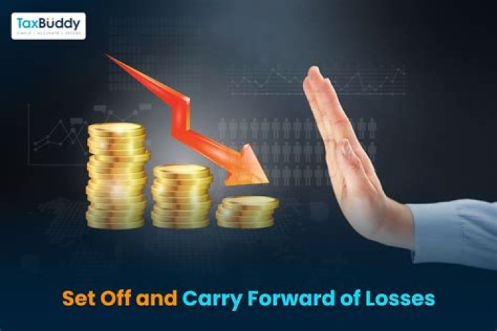 Do company losses carry forward?