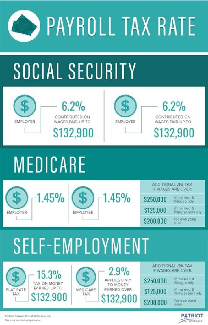 Do partners pay payroll taxes?