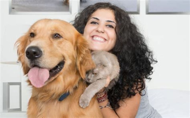 Do you have to be certified to be a pet sitter?