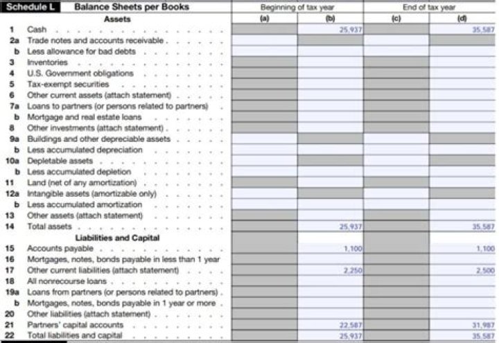 Does a 1065 need a balance sheet?