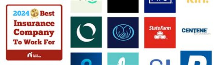 How do I decide which insurance company to work for?