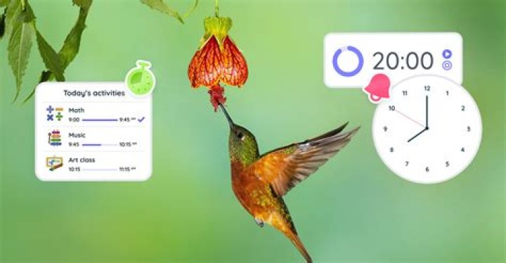 How do we utilize time?