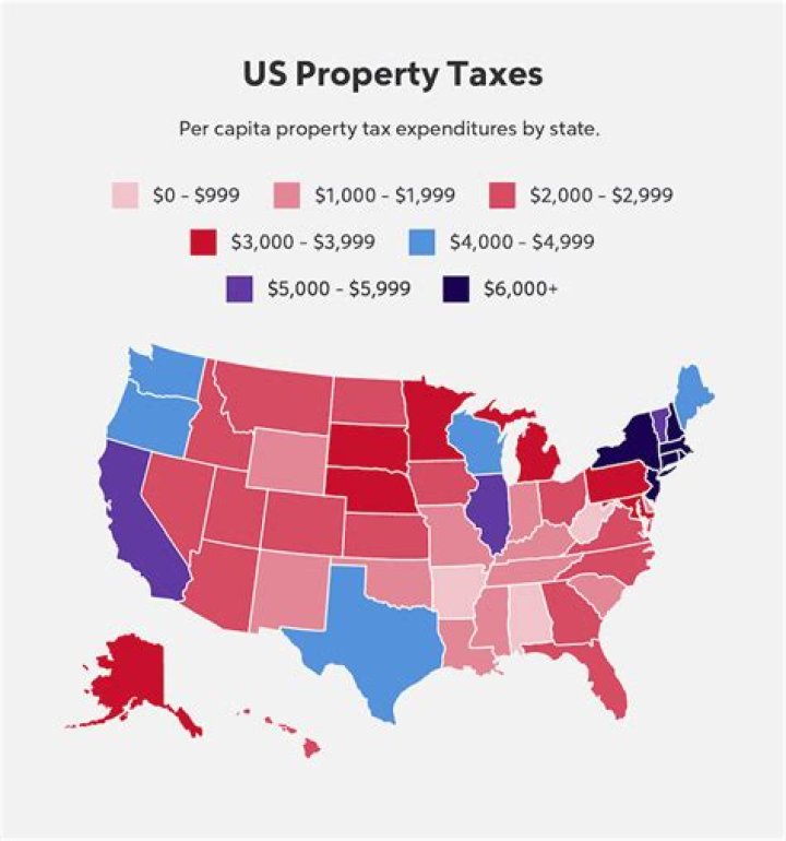 How does a property tax sale work in Louisiana?