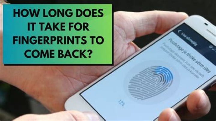How long does it take for fingerprints to come back for IRS?