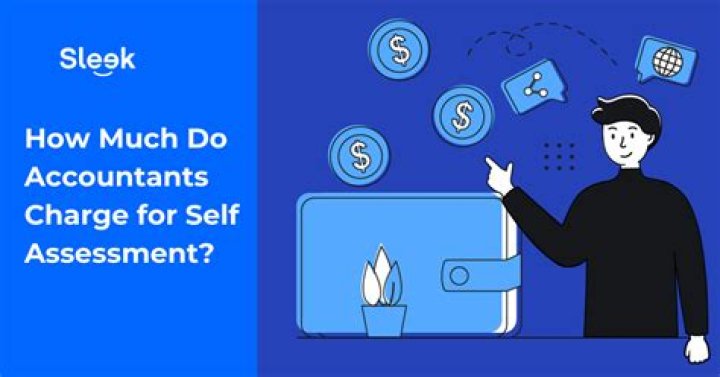 How much do accountants charge to set up a company?