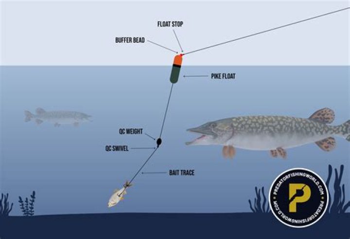 How much does a big rig owner make?