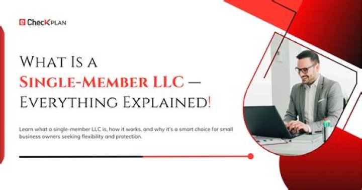 Is a single-member LLC a small business?