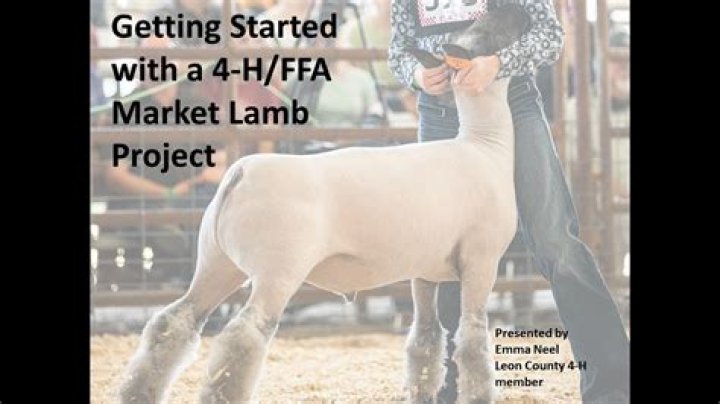 Is buying a 4h animal tax deductible?