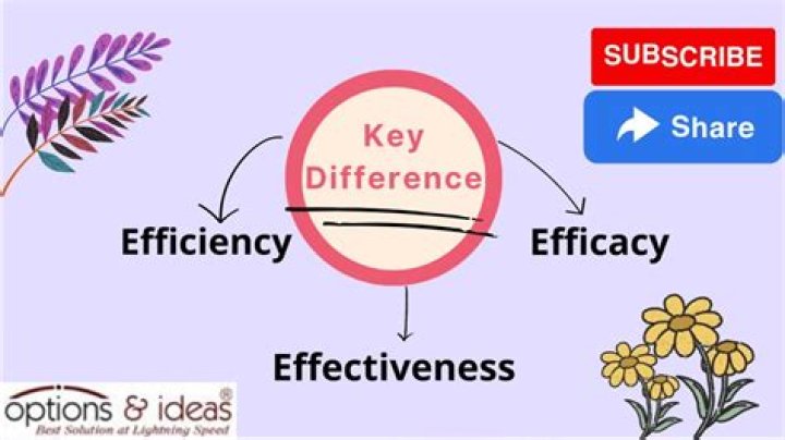 Is efficiency more important than effectiveness?