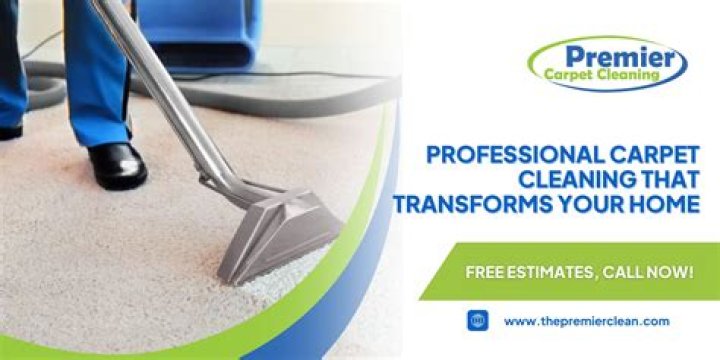Is professional carpet cleaning necessary?