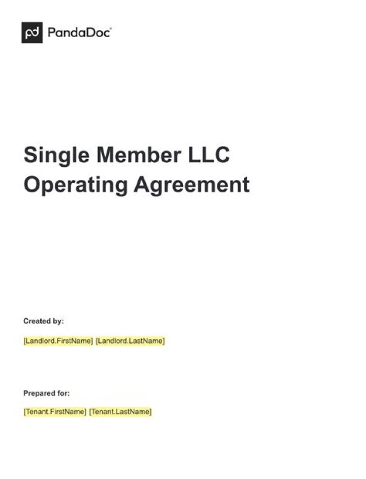 Should single member LLC filing as S Corp?