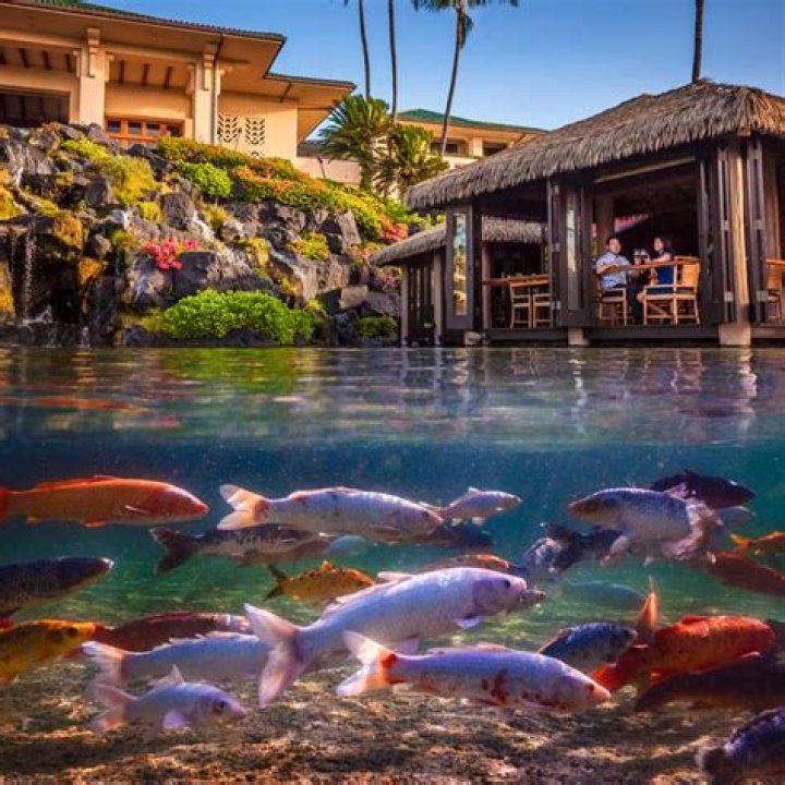 Unveiling The Enchanting Tidepools Restaurant Kauai: A Culinary Oasis Awaits
