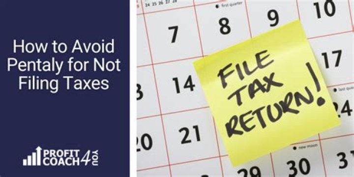 What are acceptable reasons for not filing taxes?