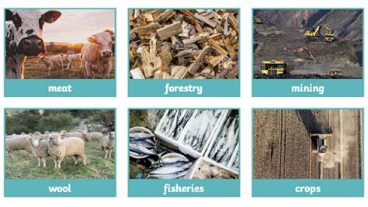 What are some examples of primary industry?