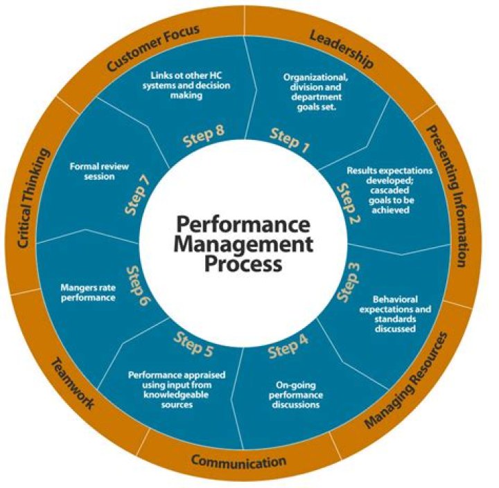 What are the 12 components of performance management system?