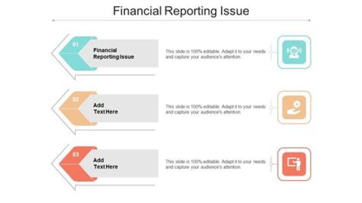 What are the issues in financial reporting?