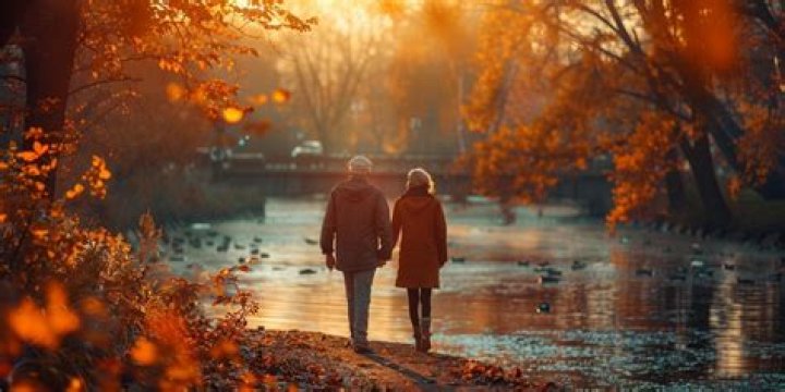 What are the three types of Social Security disability?