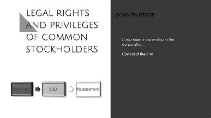 What are your four rights as a common stockholder?