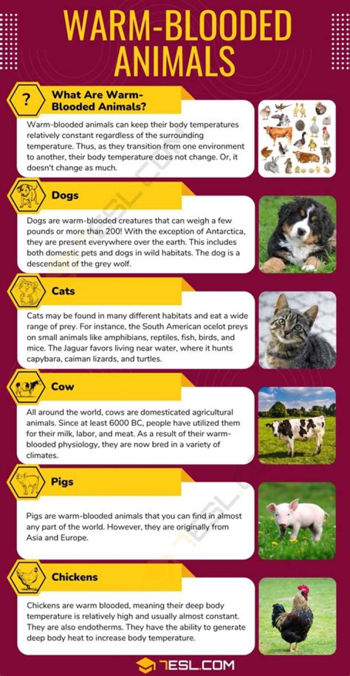 What do you mean by Hawthorne studies?