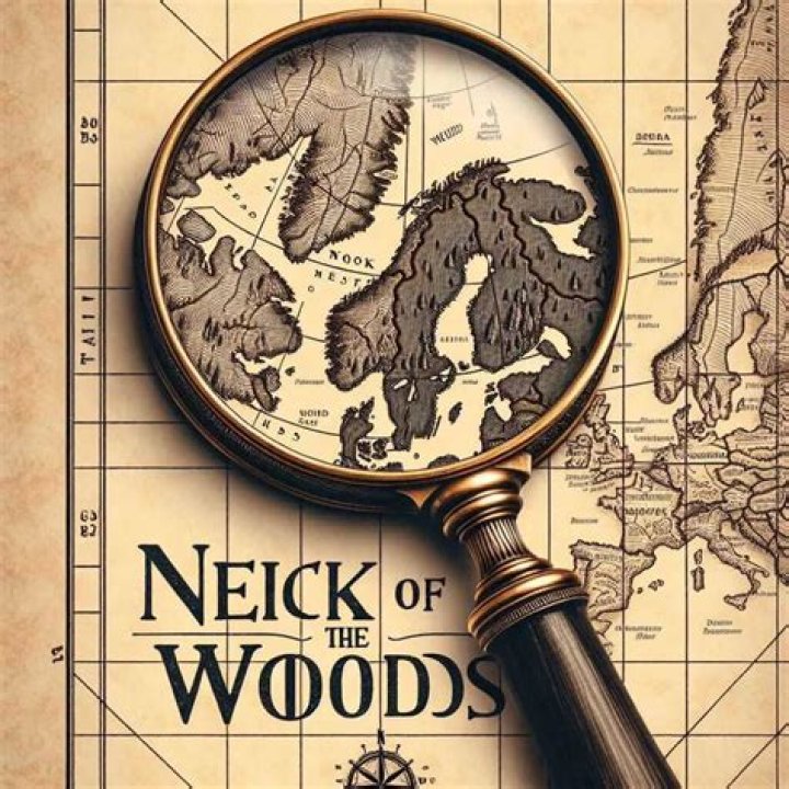 What does my neck of the woods mean?