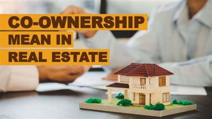 What is a co ownership rule?