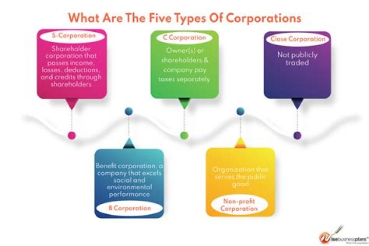 What is a corporation who owns a corporation?