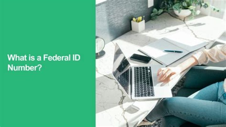 What is a federal ID number for a business?