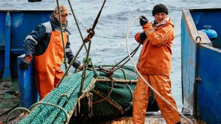 What is a fishery worker?