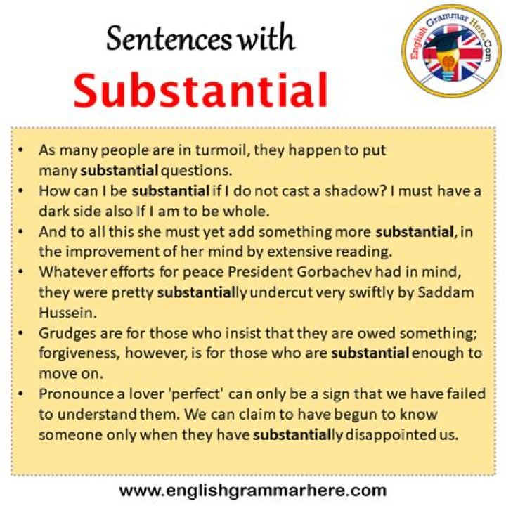 What is a good sentence for substantial?