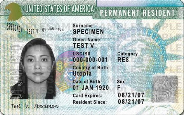 What is a non permanent citizen?