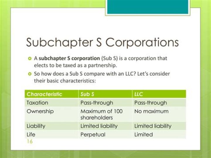 What is an example of a subchapter S corporation?