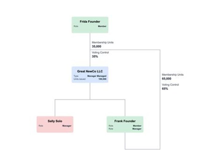 What is an LLC Type S?
