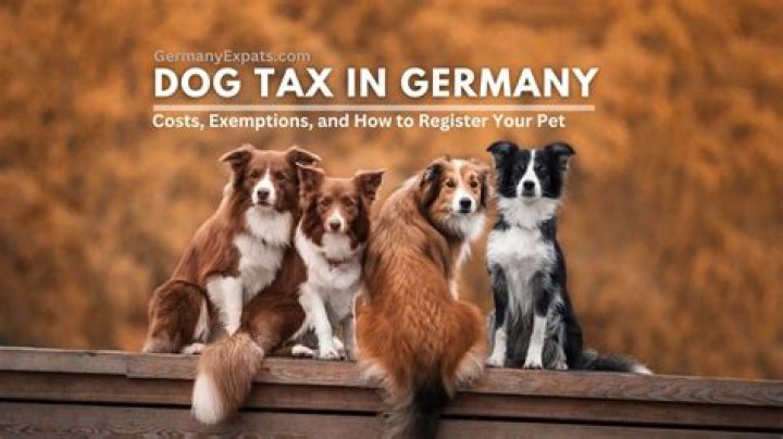 What is dog tax in Germany?