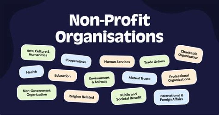 What is non profit seeking organization?