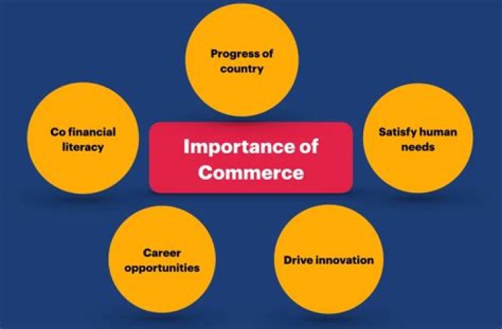 What is the importance of commerce education?