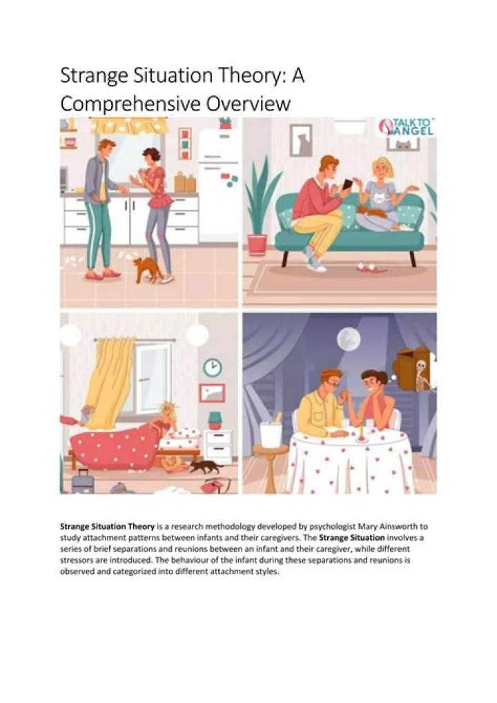 What is the strange situation theory?