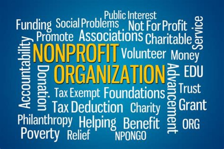What is wrong with nonprofits?