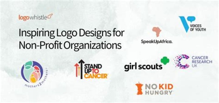 When was the first nonprofit organization?