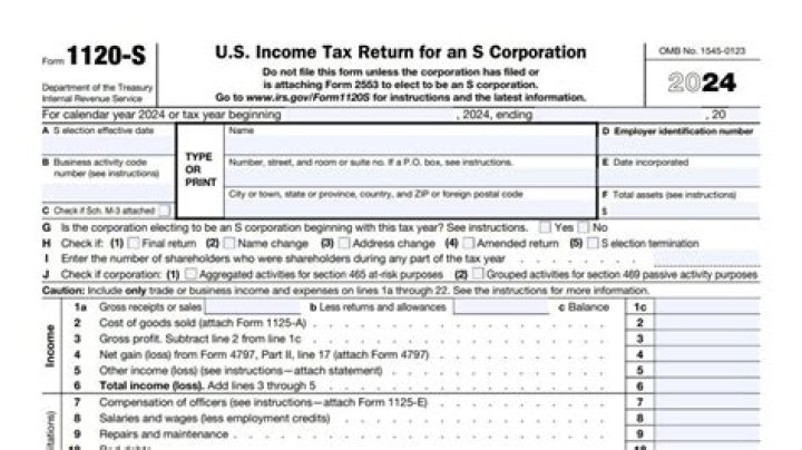 Who files IRS Form 1120S?