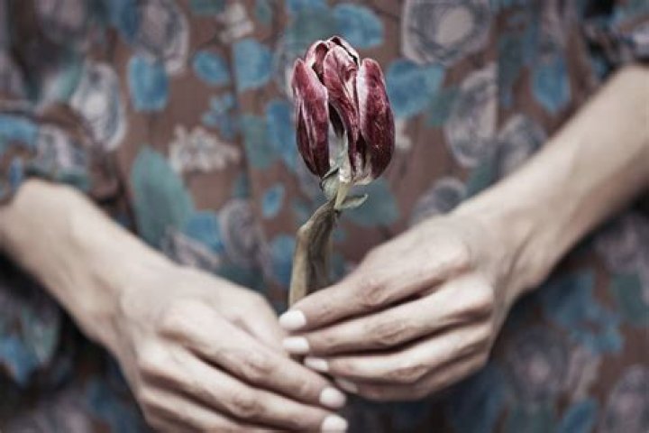 Why the elderly can go downhill after the loss of their partner?